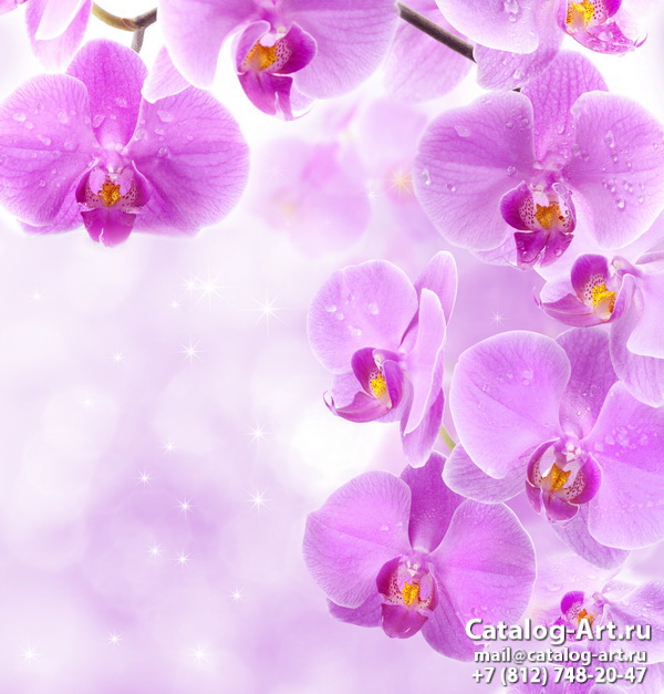 картинки для фотопечати на потолках, идеи, фото, образцы - Потолки с фотопечатью - Розовые орхидеи 68